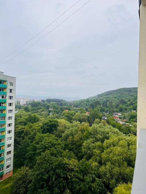 Apartament Sparrow Apartmens 3 Koszyce Zewnętrze zdjęcie